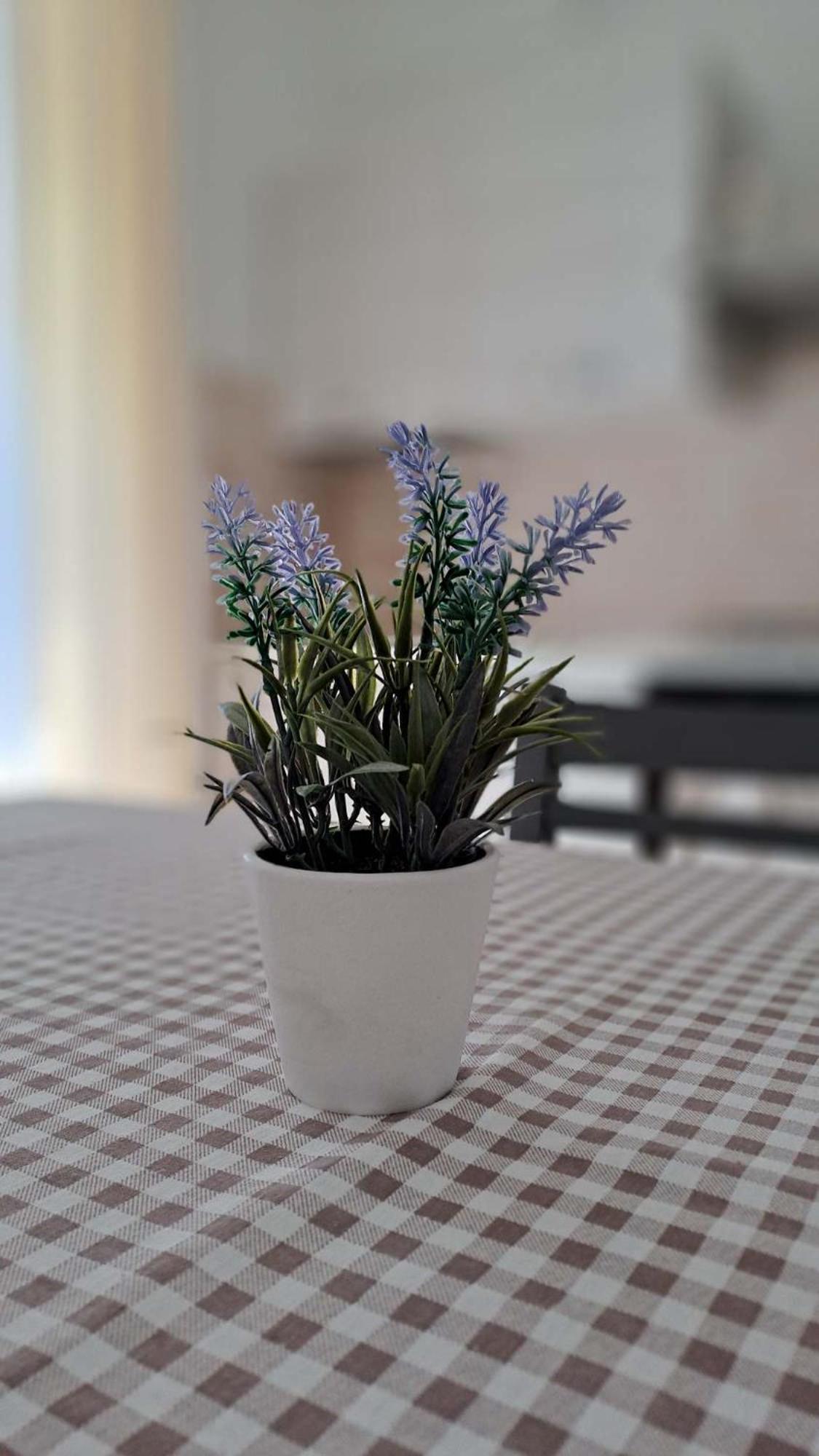 La Tappa Del Vignaiolo Home 마모이아다 외부 사진